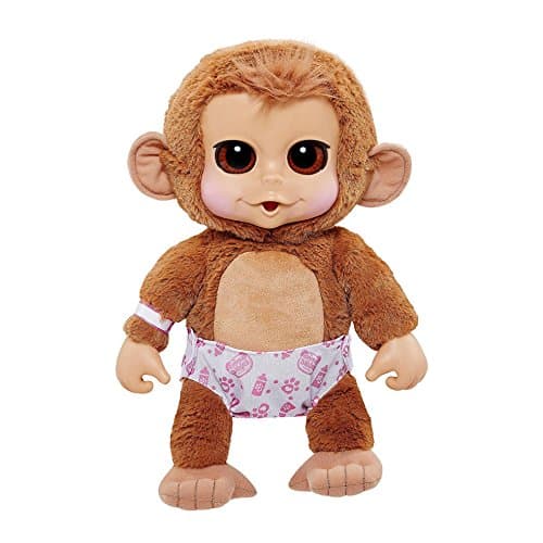 Animal Babies Baby Monkey