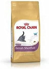 Royal Canin Kitten Food - British Shorthair Complete Food 2kg