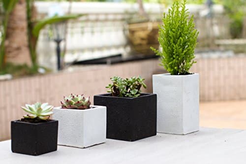 Assorted Mini Black and White Cement Succulent Planter, Tabletop Decorative Display Garden Pots, Set of 4
