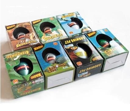 Growing Tortoise Egg /Magic Hatch & Grow Egg/ Growing Pet/ Novel Toy for Children by LF Star