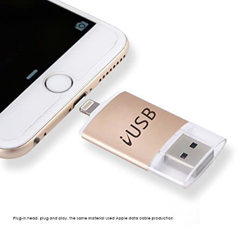 [ 128GB ] iUSB Flash Drive Fat32 exFAT External Storage USB Disk for Mac iPad iPod Computer iPhone 6 plus 6s 7 (Gold)
