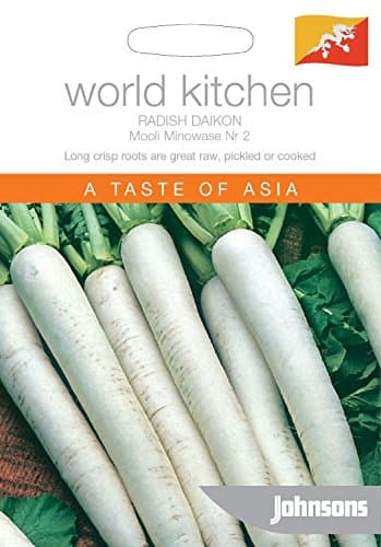 Radish Daikon Mooli Minowase Nr.2