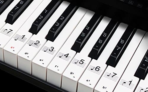Piano keys stickers - paste/double coating, transparent plastic stickers, suitable for 88/76/61/49 keys, no residue, no damage to the piano … (1)
