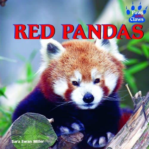 Red Pandas (Paws and Claws)