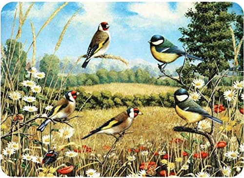 Goldfinch Medium Glass Worktop 40X30Cm
