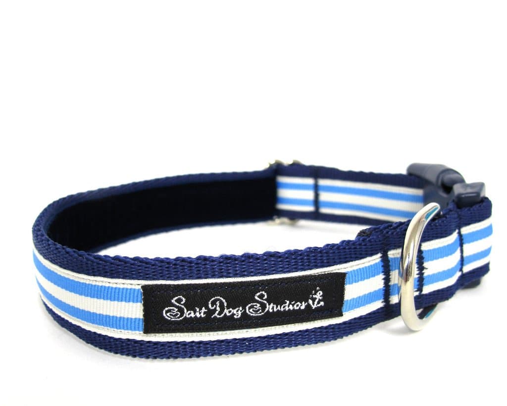 Salt Dog Studios Light Blue Stripe Dog Collar - Medium 12-19" 1" Width