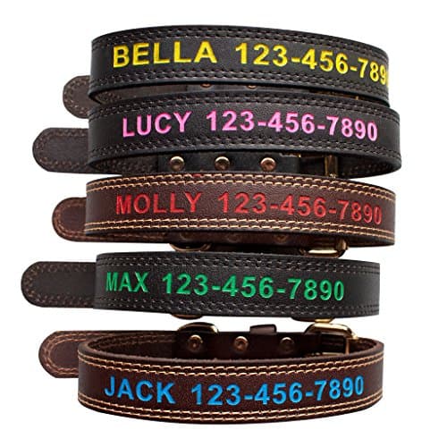 Personalized ID Dog Collars Custom Genuine Leather Pet Collar (Medium, Black)