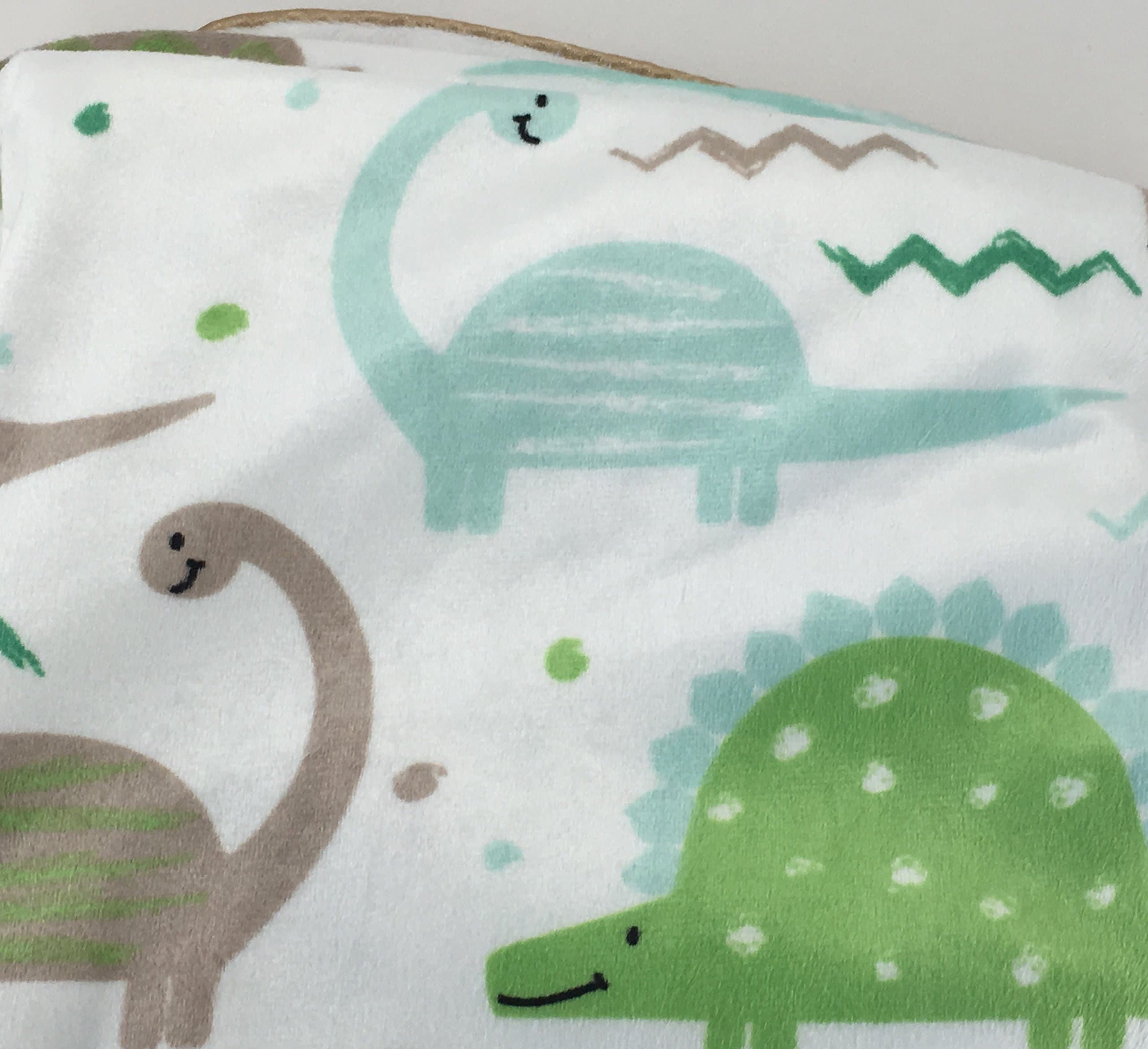Baby Blankets Dinosaurs Reversible