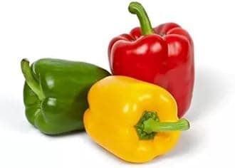 Willvine Mixed pepper Capsicum-KMT-11A