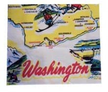 Washington State Souvenir Dish Towel