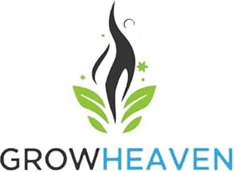 Live Chinese Money Plant Pilea Peperomioides Indoor Plant Live pack of 1 With Black Pot (CHINESE MONEY PLANT)