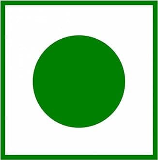 Moringa Leaf Powder - 250 Gm | Moringa Oleifera Drumstick Leaves Herbal Supplement, Good for Immunity, Digestion, Skin & Hair, Energy Booster, Rich in Antioxidants