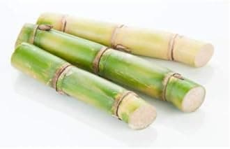 Sugar Cane Fresh 1 KG