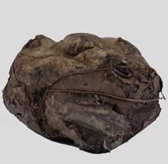 Rasaut-Raswanti-Rasanjana-Rasavanti-Rasot (Rasanjan) Berberis Aristata Root Gum (50 Gms)