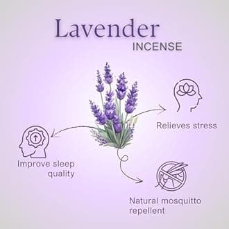 Mugdh Natural Incense Cones – Lavender | Bambooless, Low Smoke, Charcoal Free Dhoop Cones | 80 dhoop batti | Free Cotton Potli & Dhoop Stand | Home Fragrance, Pooja & Meditation