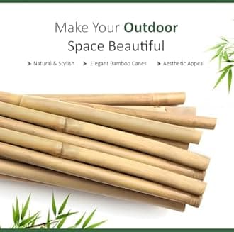 Blado Thick Bamboo Canes - Heavy Duty, Natural Garden Stakes, Strong Bamboo Sticks for Plant Support - Ideal for Gardens and Outdoor Spaces 2FT, 3FT, 4FT, 5FT, 6FT (40, 2ft, 6-8mm)