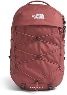 The North Face womens Women's Borealis Daypack