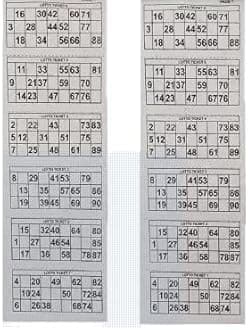 Braintastic Kids 600 Tambola Tickets