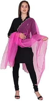 Traditions Bazaar Women's Organza Fabric Cut-Work Border Dupatta