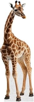 Giraffe - Life Size Cardboard Cutout Standup People with Support Standee | Animals -2