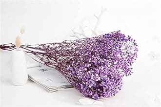 YIWOYI Natural Dry Flower Gypsophila Fresh Dried Preserved Flowers Gypsophila Paniculata Breath Flower Bouquets For Wedding Party Home Dekoration (yellow,40-55cm80g)