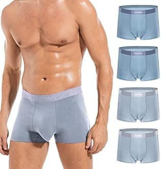 Mens Ice Silk Underwear 4-Pack Boxer Briefs Ice Sikn Comfortable Soft Trunks Underwear With Gift Box