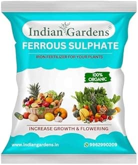 Indian Gardens - Ferrous Sulphate Fertilizer | Micronutrient Iron Fertilizer | Soil Iron Plus |Flowering Plant | Slow-Release Plant Food - 400 Grams