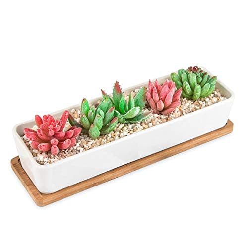 HOMENOTE Larger Rectangle Planter Pots (Size:11.1 x 3.54 x 2.17 inch) for Small Succulent Plants Long White Ceramic Succulent Planter Pots with Drainage Hole and Bamboo Tray