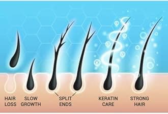 Au Natural Organics Batana Oil Shea Butter | Hair Regrowth Formula Blend for Women, Men, Restore Damaged Hairs, Thickening, Strengthening Oil, Repairs Split Ends, Scalp Treatment 9oz