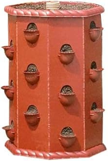 Primrose Strawberry Barrel