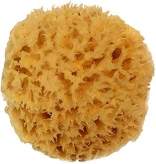 Spa Destinations Natural Sea Wool Sponge, 4-5in