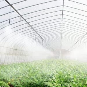 1 mm Fog Sprayer Heads Nozzle for Sanitize Mist Nozzle Sprinkler Lawn Garden Water/Fog Mist Nozzle Misting Fogging Spray Greenhouse Culling Nickel Finished (10)