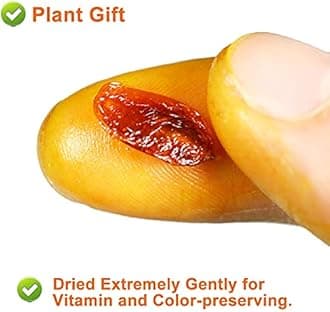 PlantGift Dried Sea Buckthorn Berries 80G/2.82oz 沙棘果 Whole Berries,Dried Extremely Gently, No Additives, High B12 Content, Organic Dried Fruit