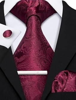 Barry.Wang Designer Mens Tie Sets Collection, Eleagnt Gift Box Tie Clips Handkerchief Cufflink Set