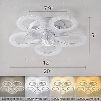 Ceiling Fan with Lights