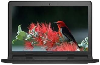 DELL Chromebook 3120 Laptop With 11.6-Inch Display,Intel CeleronProcessor/2nd Gen/2GB RAM/16GB SSD/256MB Intel HD Graphics English Black Renewed