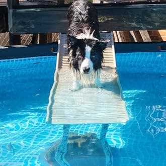 PetStep Dog Ramp for Pools (Long Legs, Khaki/Beige)