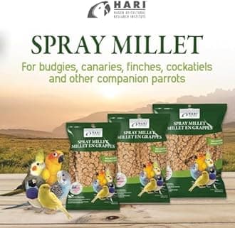 Living World Spray Millet Treat for Birds Size: 17.5 oz.