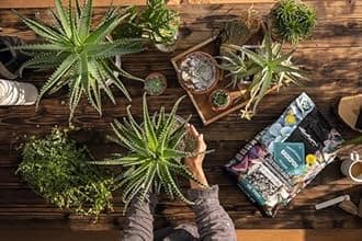 Lechuza 19554 Basic-PON Mineral Plant Substrate Potting Mix for Indoor Gardening, 20 Liter Bag, Grey