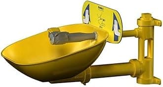 Bradley S19224EW Eyewash, Plastic Bowl