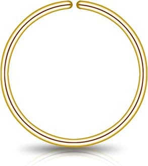 LUCKYJEWUS Small Thin Gold or Sterling Silver Nose Ring Hoop for Women, Tiny Nose Piercing jewelry