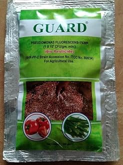 GUARD Organic Fungicide Pseudomonas Fluorescens Wilt Root Rot Blight Damping off in Plants root knot nematode control (250 gm)