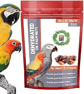 Congo® 300gm Dehydrated Oil Palm Nut for Parakeet, Cockatiels, Conure, Amazon, Senegal, African Grey, Macaw, Cockatoo, Eclectus and Other Birds, 300gm (Pack of 3)