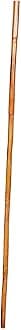 Yoga with Stick, Dando Yoga Stick (5 feet)