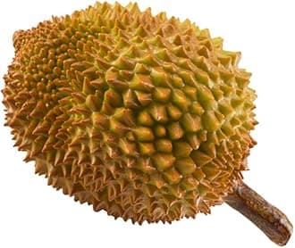 Gadpiparty Artificial Durian Fruit Decoration Lifelike Simulation Fake Durian Ornaments for Home Kitchen Table Photography Props and Educational Use 5.91X5.91X9.84 Inches