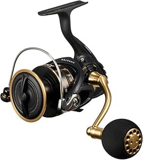 Daiwa (DAIWA) Spinning Reel 23BG SW 4000-18000 Various (2023 Model)