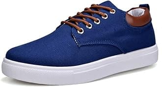 tazimall New Casual Sneakers for Men Lace-Up Canvas Shoes Low Top Walking Shoes