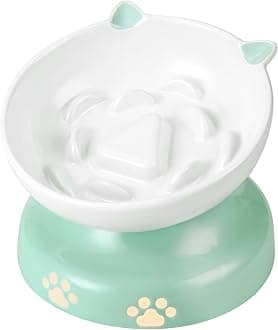 Y YHY Slow Feeder Cat Bowl, Ceramic Elevated Cat Bowl Tilted Design Slow Feeder for Dog and Cat for Dry and Wet Food, Green