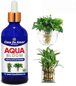 Casa De Amor- Aqua Bloom Liquid Plant Fertilizer for Lucky Bamboo, Money Plants & Aquatic Plants (in Water) 100 ml Premium Glass bottle with Glass dropper