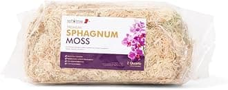 rePotmePremium Organic Sphagnum Moss, Orchid Moss - 2 Quarts (When Hydrated)